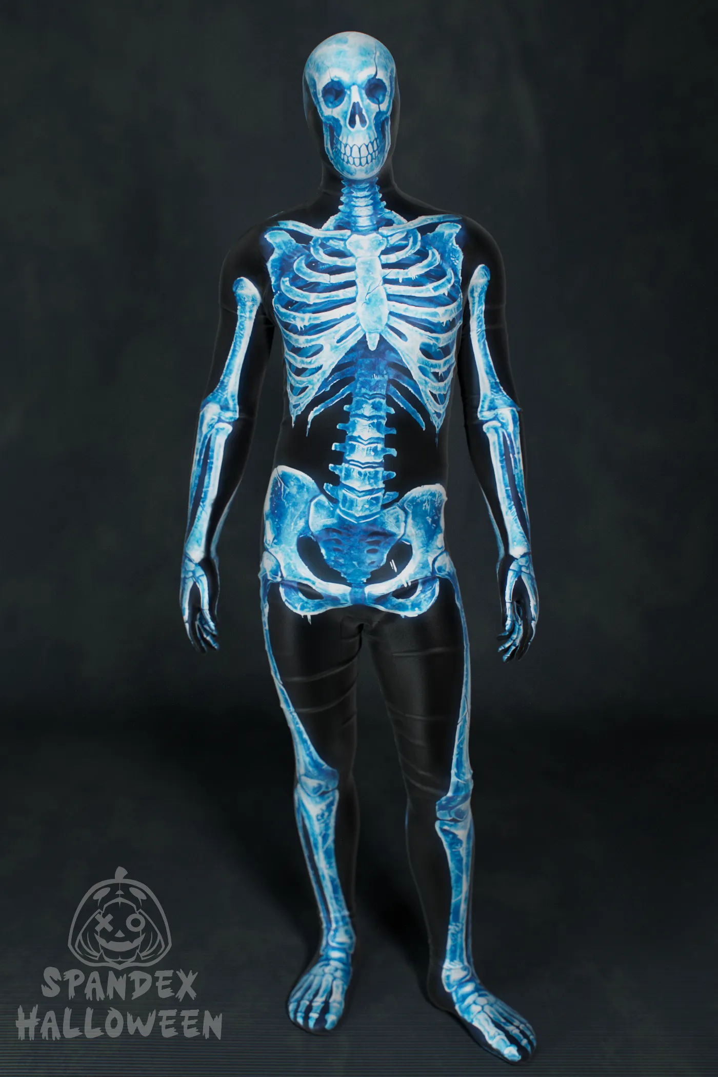 Frost Skeleton Costume