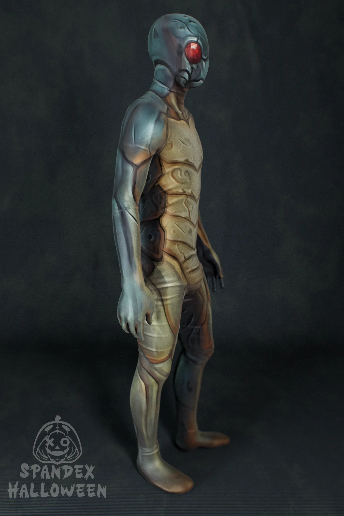 Pill Bug Man Costume - Image 2