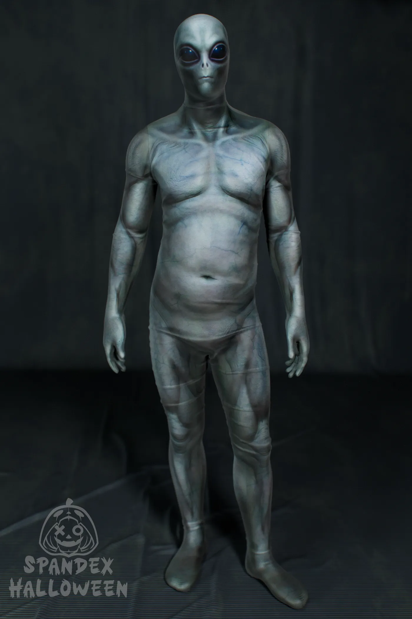 Grey Alien Zeta Male Costume